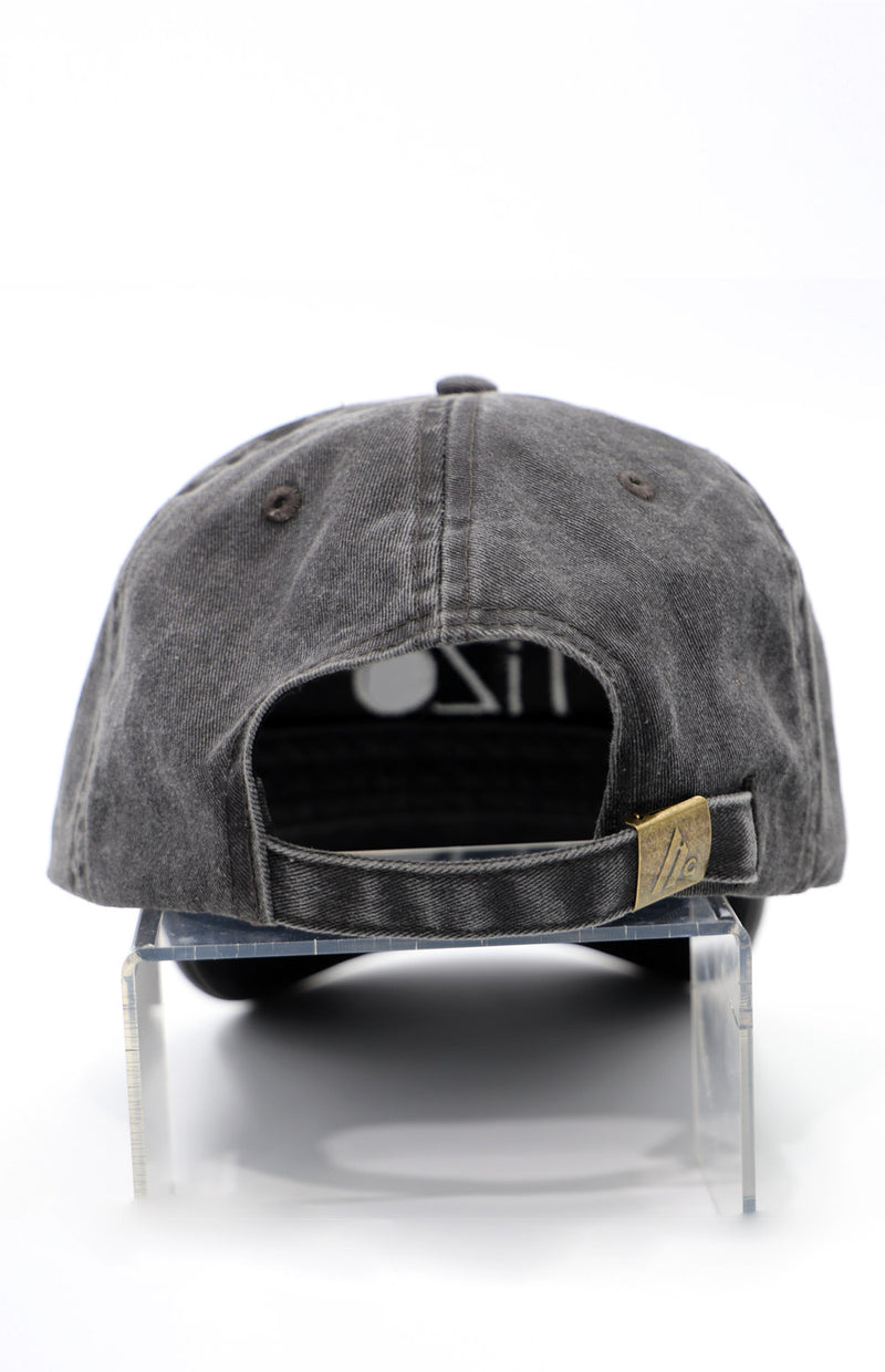 TiZO Embroidered Dad Hat